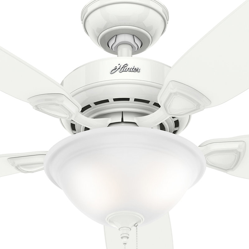 Hunter Fan 44" Auberville 5Blade Ceiling Fan & Reviews Wayfair